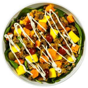 Vegan